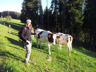 Wellness Anwendung